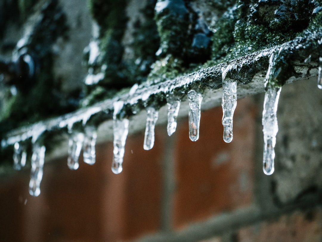 Photo Ice storm: Blizzard